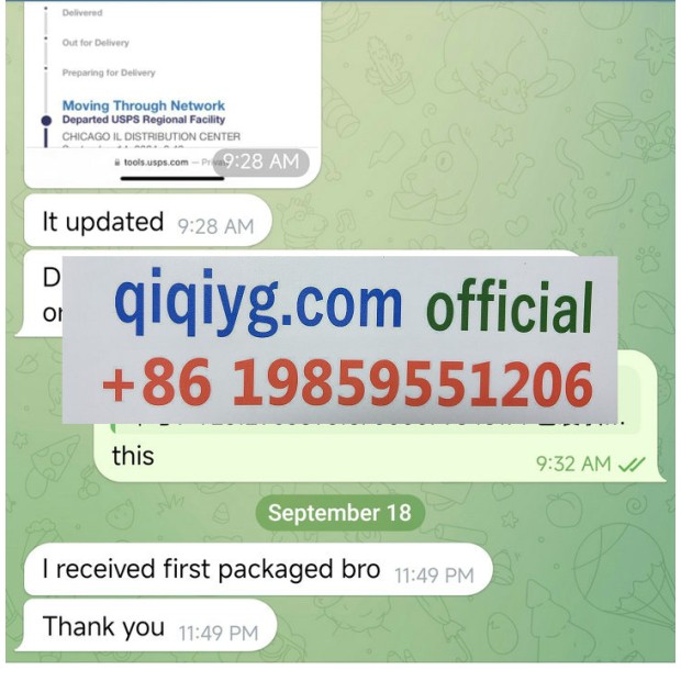 Avis 2025 qiqiyg.com officiel - Meilleur fournisseur de mode en dropshipping 5A17